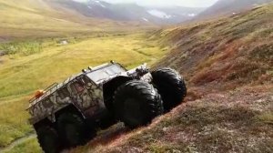 Хищник в тундре - отличное решение!