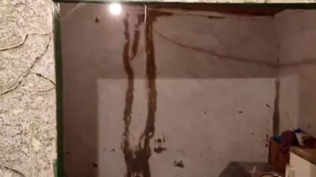 Video5389053211850078260