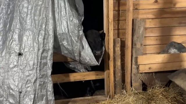 Возвращаемся к стройке в доме. Наводим порядок на участке. Погода испортила нам все планы. смотреть онлайн