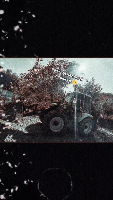 перекур..как под пальмой стою на гаити😁 смотреть онлайн