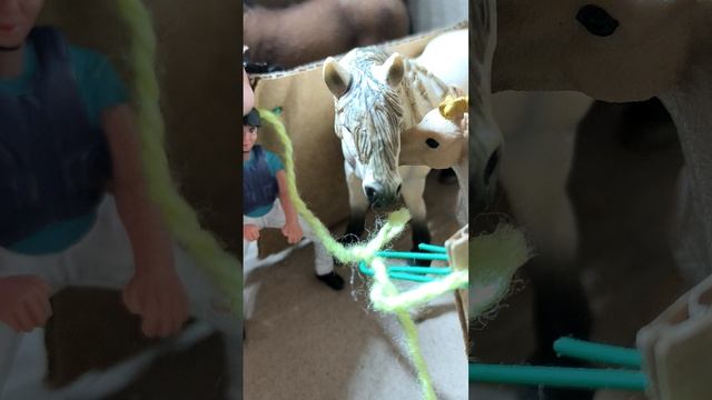 тренировка фигурки лошадей