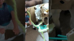 тренировка фигурки лошадей