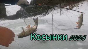 ЗИМНЯЯ РЫБАЛКА НА КОСЫНКИ НА ТАЕЖНОЙ РЕЧКЕ 2025.