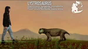 Животные пермского периода. Размеры.