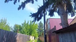 Минусинская котловина.Город Минусинск.Удивительная природа Минусинска