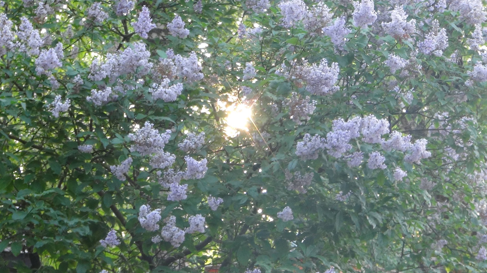 Красота природы загородных земель🍃 смотреть онлайн