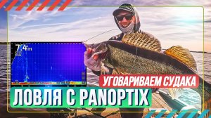 Ловля с Panoptix. Уговариваем судака. Рыбалка с #OnlySpin