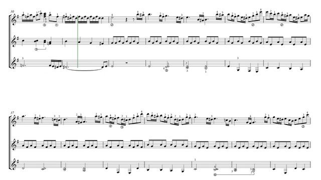 А. Шнитке. "ПОЛЁТ" из кинофильма "Сказка странствий". Аранжировка для трио гитар: Д. Теслов