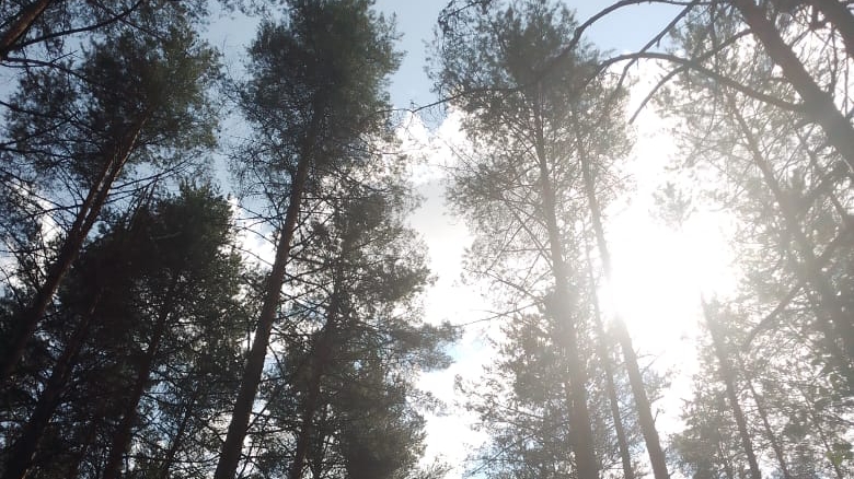 24-06-2025💥Влог💥вторник смотреть онлайн