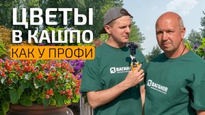 Как посадить цветы в уличные кашпо 🌸 Советы и ошибки от агронома