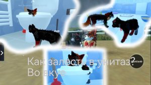 Смешной баг во вкуе) Как залесть в унитаз в игре? Расскажем тут)