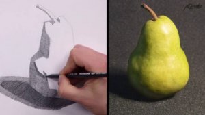 08. simplify-from-observation-pear-demo