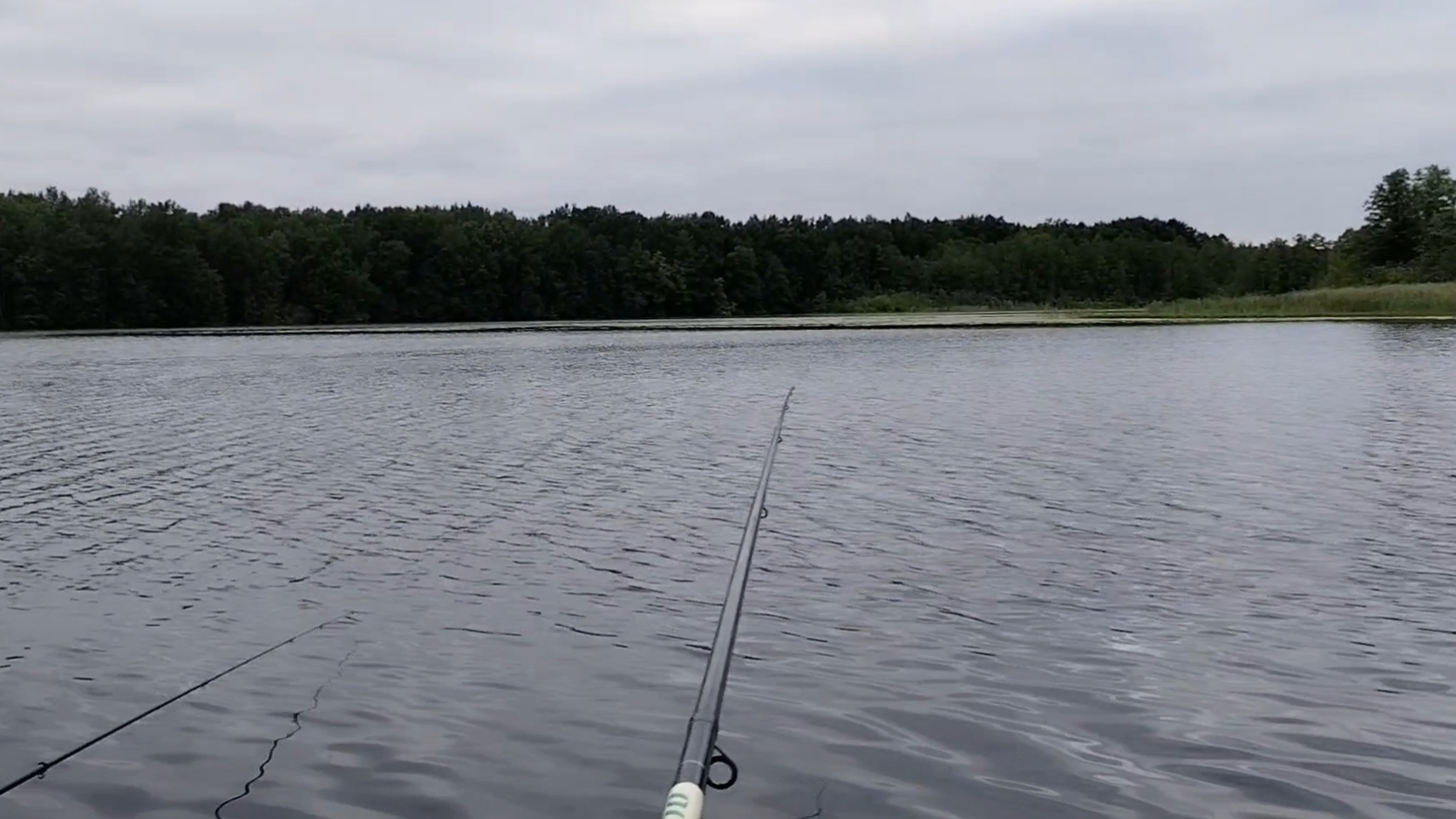Открыл сезон рыбалки. Огородные и садовые дела))) 22-06-2025 смотреть онлайн