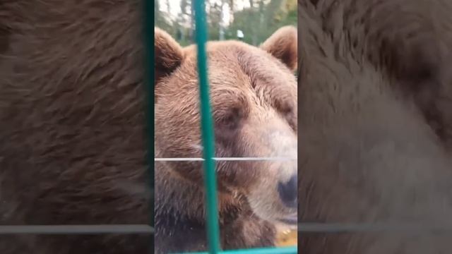 Встреча с Мансуром 17.08.2024
