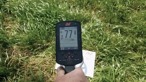 [RUS] Minelab Manticore : навыки идентификации