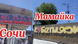 Сочи. 24 июня пляжи  Куба, Ласточка. Мамайка.