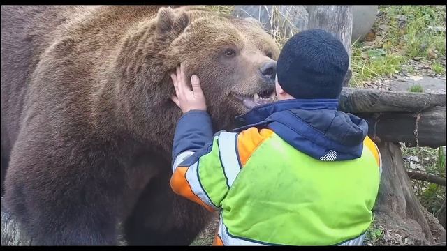 Встреча Андрея с Мансуром и вкусные помидорки  Andrey Meets Mansur With Delicious Tomatoes