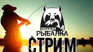 Ловля рыба на спиннинг озеро Куори Русская рыбалка 4 | CITIZEN