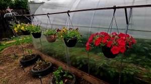 Как сделать такую конструкцию под цветы.. Это Лешина заслуга...