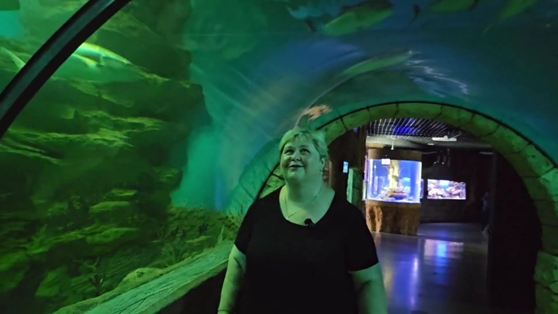 Сегодня нас забросила судьба в подводный мир. смотреть онлайн