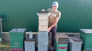 объединяю отводки на медосбор