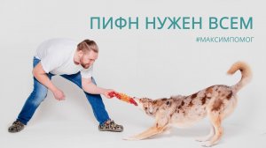 Реальный путь к здоровью собаки без травм и операций/ Почему вы до сих пор не слышали о ПИФН?