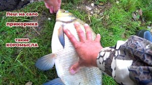 Рыбалка на Леща в Июне на Оке. Эта снасть Ловит Леща!