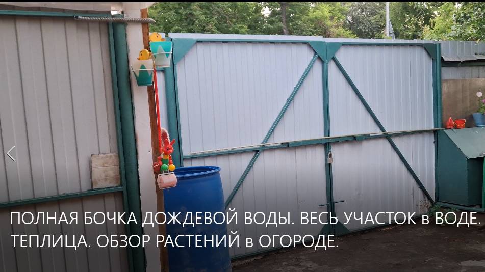 ПОЛНАЯ БОЧКА ДОЖДЕВОЙ ВОДЫ. ВЕСЬ УЧАСТОК в ВОДЕ. МОЯ ТЕПЛИЦА. ОБЗОР РАСТЕНИЙ в ОГОРОДЕ. смотреть онлайн