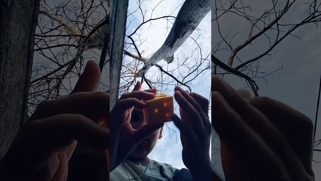 мышки в сыре смотреть онлайн
