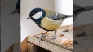 Это интересно-11