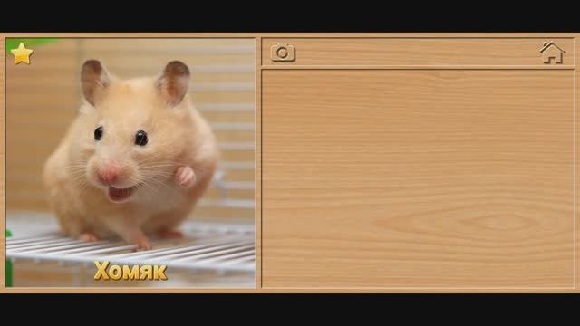 Мультфильмы для детей . Мультики для малышей. Пазлы.Детям, смотреть онлайн