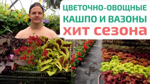 ЧТО ПОСАДИТЬ В БОЛЬШИЕ КАШПО НА УЛИЦЕ. Шок! Кашпо с цветами и рассадой овощей — ХИТ СЕЗОНА #кашпо
