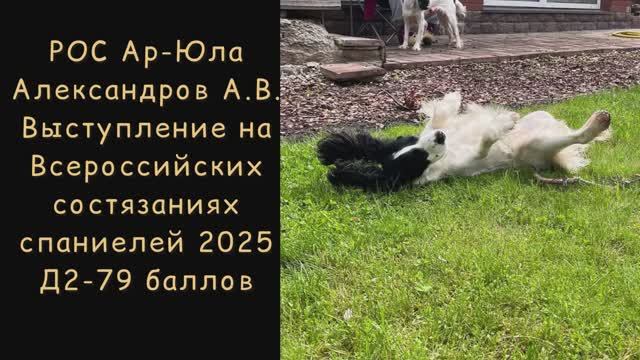 РОС Ар-Юла (Александров А.В.) на Всероссийских состязаниях спаниелей 2025 смотреть онлайн
