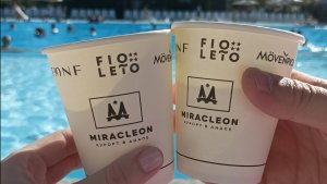 Город Мира уже не тот. Мираклеон