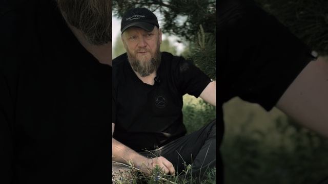 Голодание смотреть онлайн