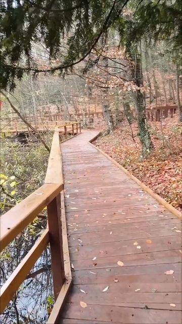 Ялтинский заповедник. смотреть онлайн