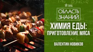 Как правильно приготовить мягкое мясо с ярким вкусом? Лекция химика Валентина Новикова