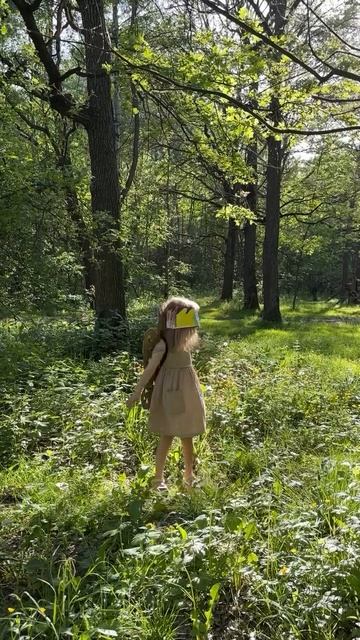 Экособытия - Бабочки