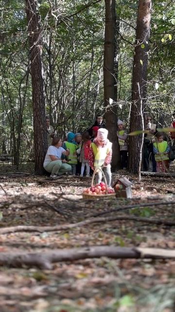 Экособытия - Осенний лабиринт