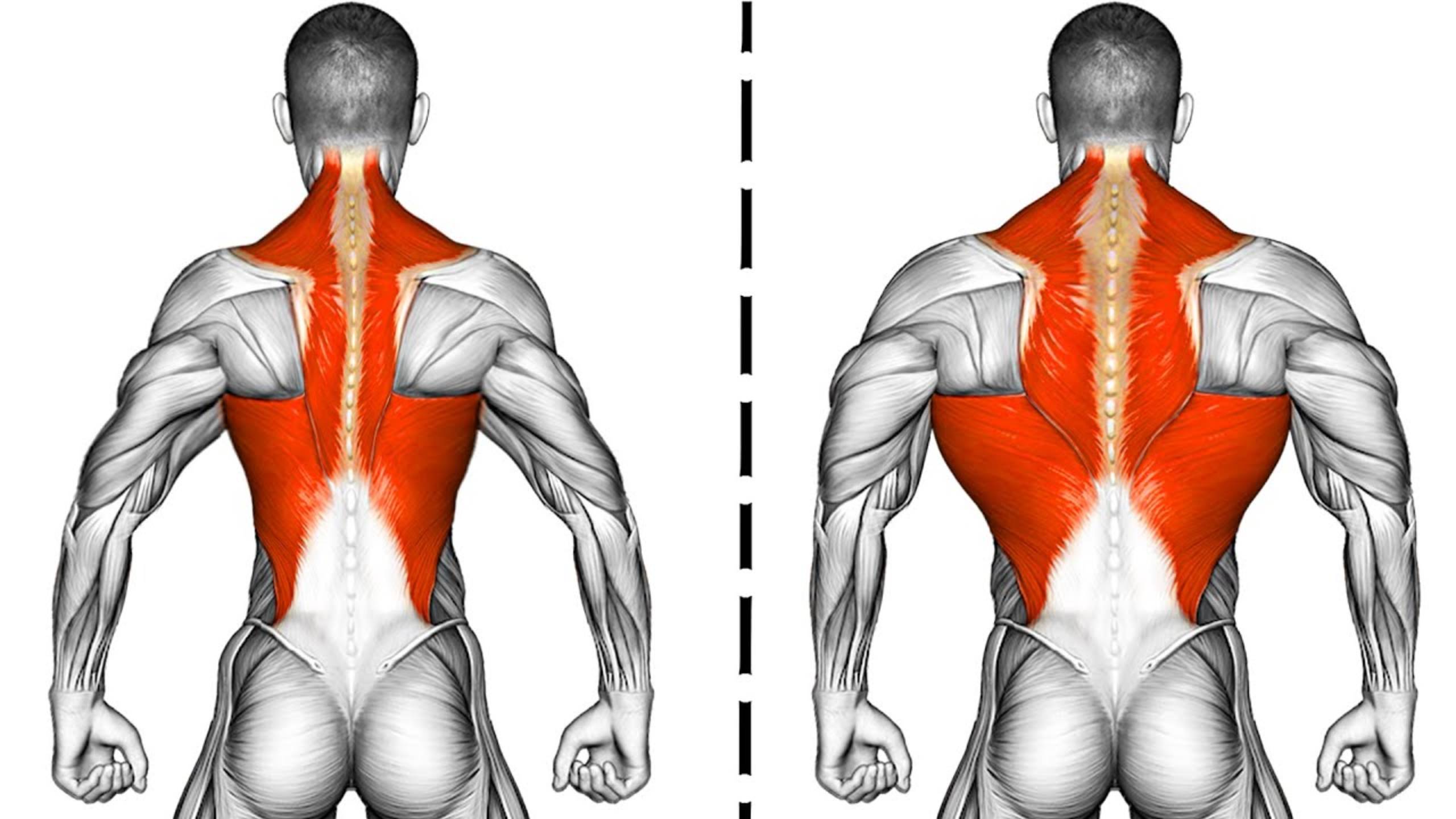 9 Упражнений для построения Широкой Спины смотреть онлайн