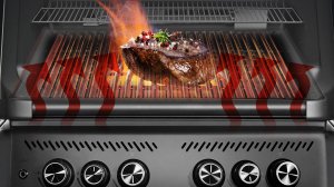 Газовый гриль CHIMERA ELITE 500