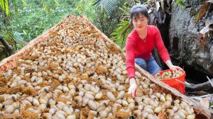 Разбиваем гнилое дикое кокосовое дерево и собираем тысячи кокосовых долгоносиков, чтобы продать их н