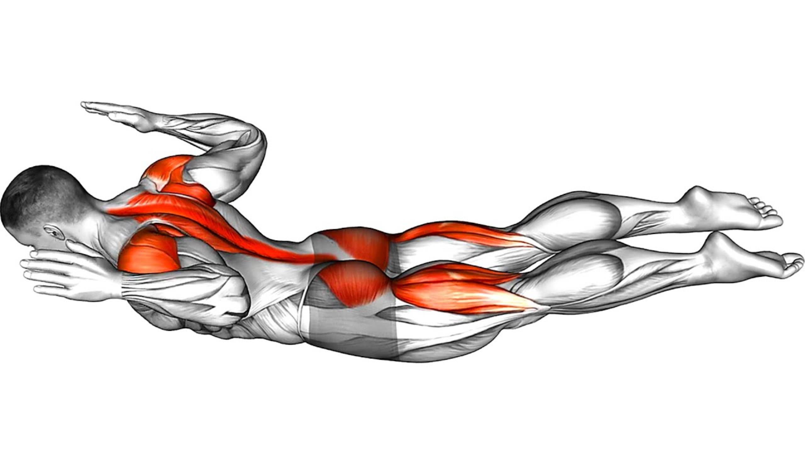 Как тонизировать мышцы спины и исправить плохую осанку смотреть онлайн