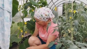 ИЗ ГОРОДА В ДЕРЕВНЮ. ХРОНИКА ДНЯ.