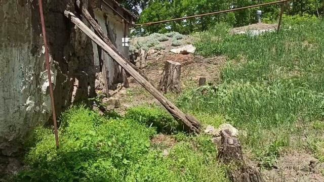 21-23 июня 2025г.Три дня косила. - Ириска- вернулась домой смотреть онлайн