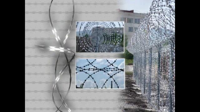 ЕГОЗА ПЕРМЬ