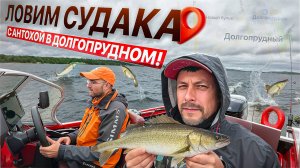 Ловим Судака с Антохой! Что-то пошло не так! Panoptix не Показатель!