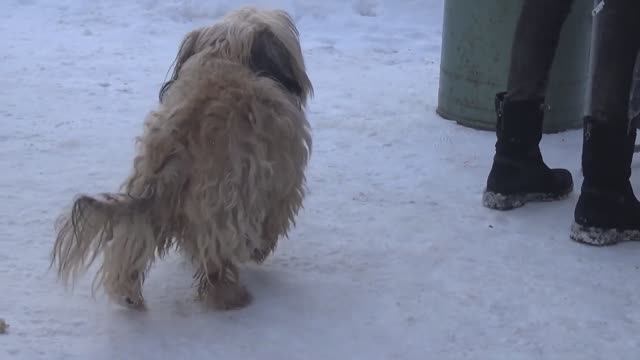 Кто людям помогает, тот тратит время зря...Пища Жизни.Вологда.2022.