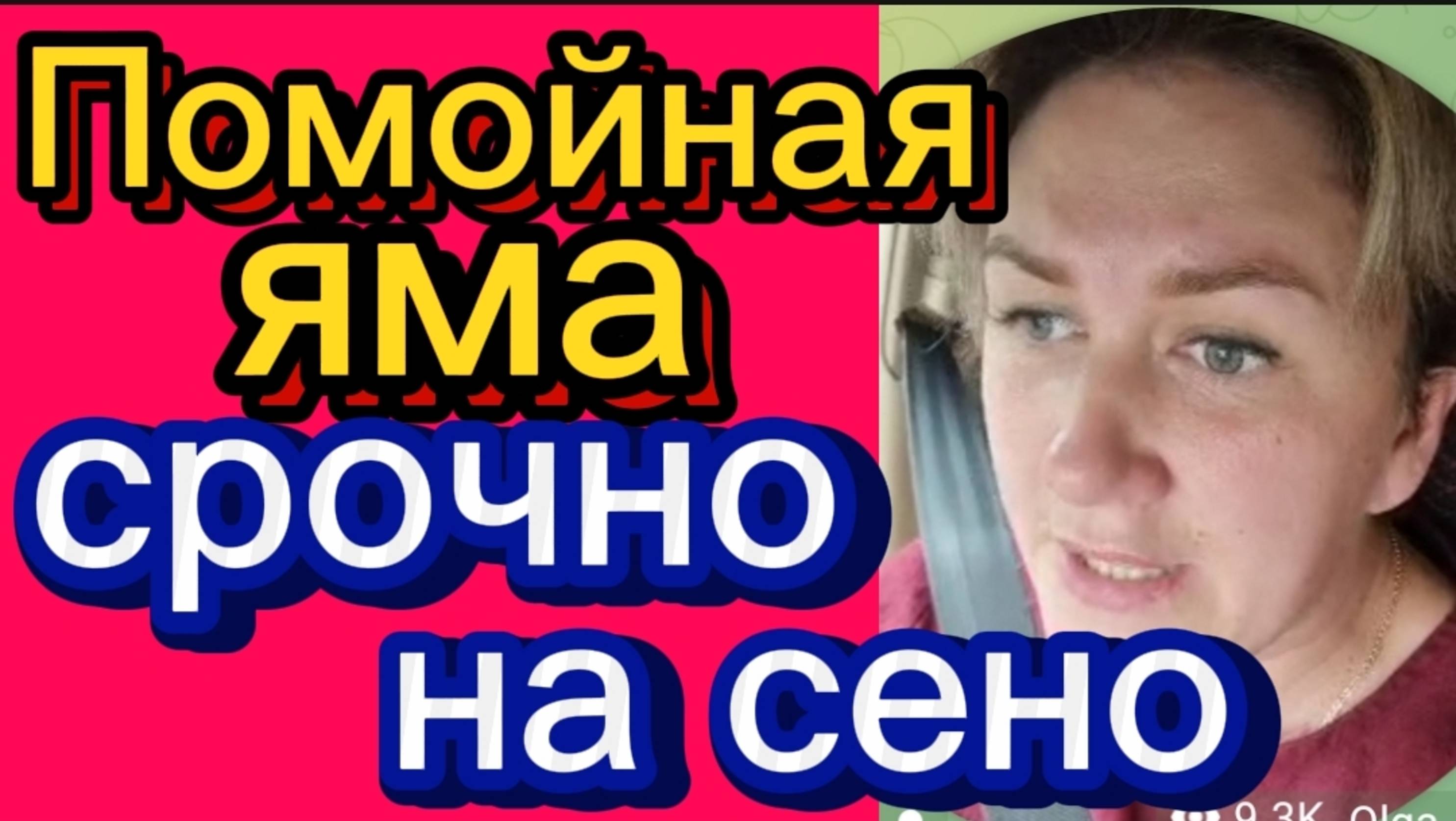 Снова поборы. НА СЕНО. Деревенский дневник. смотреть онлайн