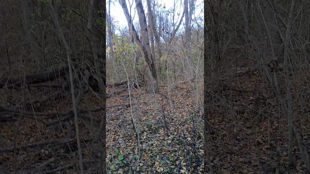 А тропу еще поискать